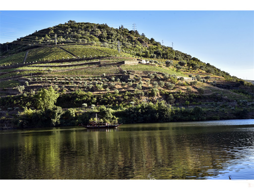Douro - un fleuve tranquile en ete